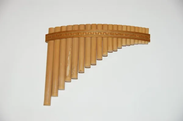 Panfluit PRL-20 tonig/ gebogen