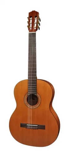 Salvador Cortez CC-22 gitaar