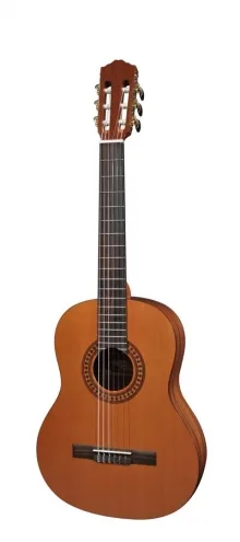Salvador Cortez CC-22-JR 3/4 gitaar
