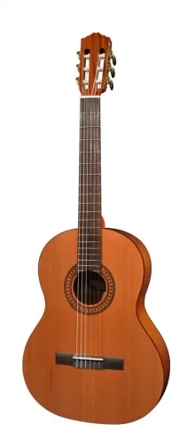 Salvador Cortez CC-22-SN 7/8 gitaar