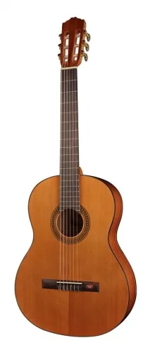 Salvador Cortez CC-10 gitaar
