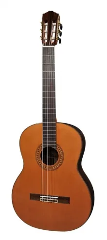 Salvador Cortez CC-60 gitaar incl. zeer luxe gitaartas